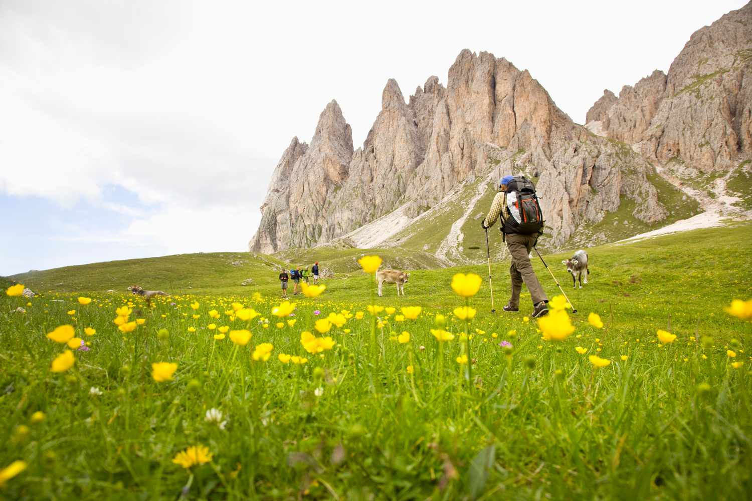 Person Hiking Through Grass with Yellow Flowers